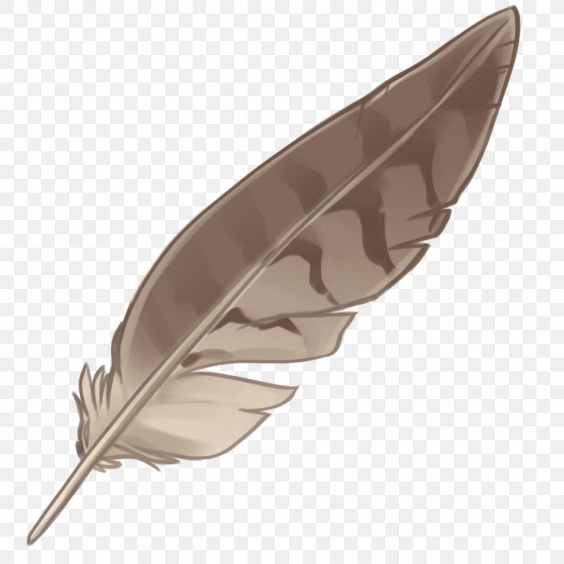 Eagle Feather Law Native Indian Feathers Image, PNG, 1024x1024px, Feather, Bird, Eagle Feather Law, Indigenous Peoples Of The Americas, Quill Download Free