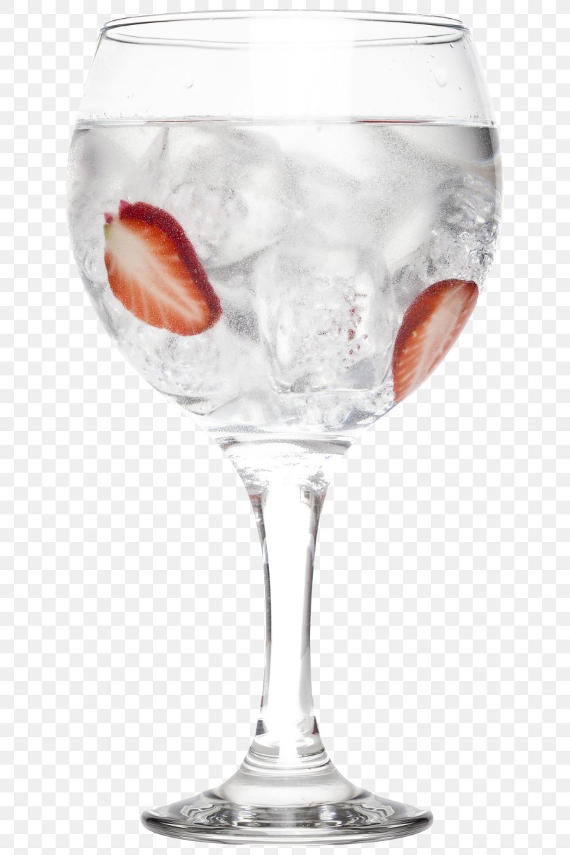 Gin And Tonic Wine Glass Cocktail Garnish, PNG, 3690x5535px, Gin And Tonic, Champagne, Champagne Glass, Champagne Stemware, Cocktail Download Free