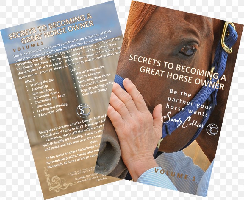 Horse DVD Video Knowledge, PNG, 1479x1211px, Horse, Advertising, Book, Brand, Brochure Download Free