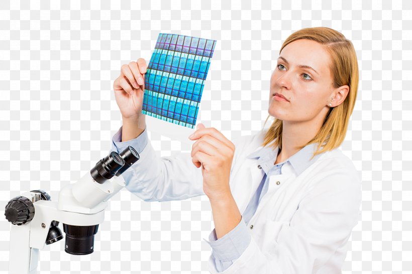 Papua New Guinea Scientist Science Research Technology, PNG, 1000x667px, Wafer, Business, Integrated Circuits Chips, Laboratory, Material Download Free