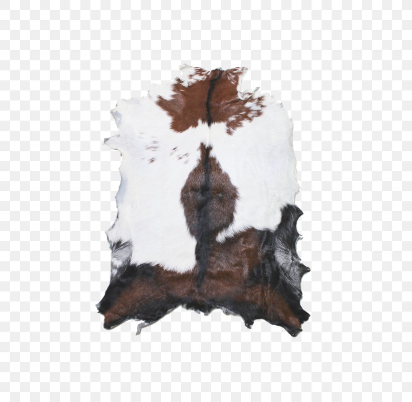 Vloerkleed Color White Fur House, PNG, 541x800px, Vloerkleed, Ahuntz, Black, Brown, Carpet Download Free