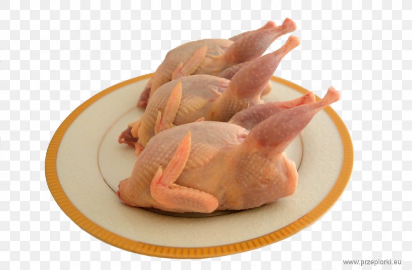 White Cut Chicken Pig's Ear Turkey Meat Recipe, PNG, 1024x673px, White Cut Chicken, Animal Fat, Animal Source Foods, Chicken, Dish Download Free