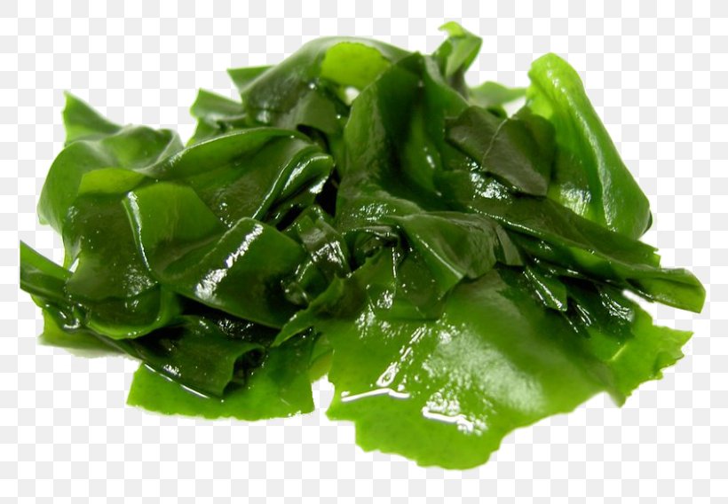 Algae Edible Seaweed Food Eating, PNG, 804x568px, Algae, Aonori, Carotenoid, Eating, Edible Seaweed Download Free