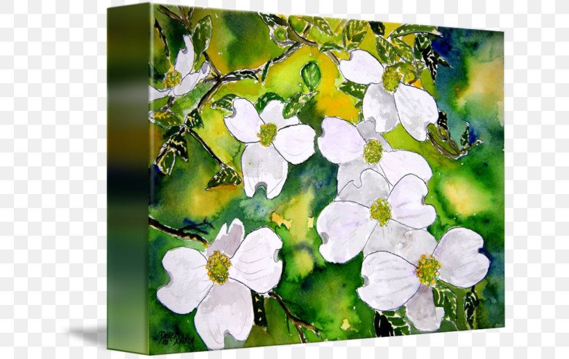 Flowering Dogwood Canvas Print Tree, PNG, 650x518px, Flowering Dogwood, Annual Plant, Art, Blossom, Branch Download Free
