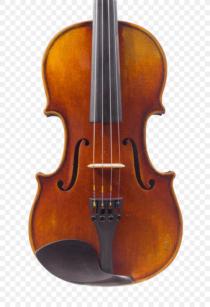 GCV Cremona Bourre Strad Violin Viola Cello Ming Jiang Zhu 909 Violin, PNG, 800x1200px, Watercolor, Cartoon, Flower, Frame, Heart Download Free