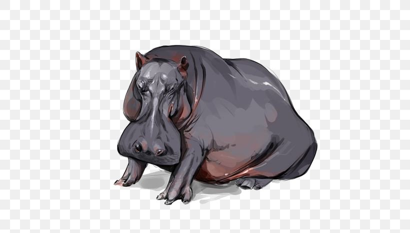 Hippopotamus Drawing, PNG, 564x467px, Hippopotamus, Animal, Animation, Art, Cartoon Download Free