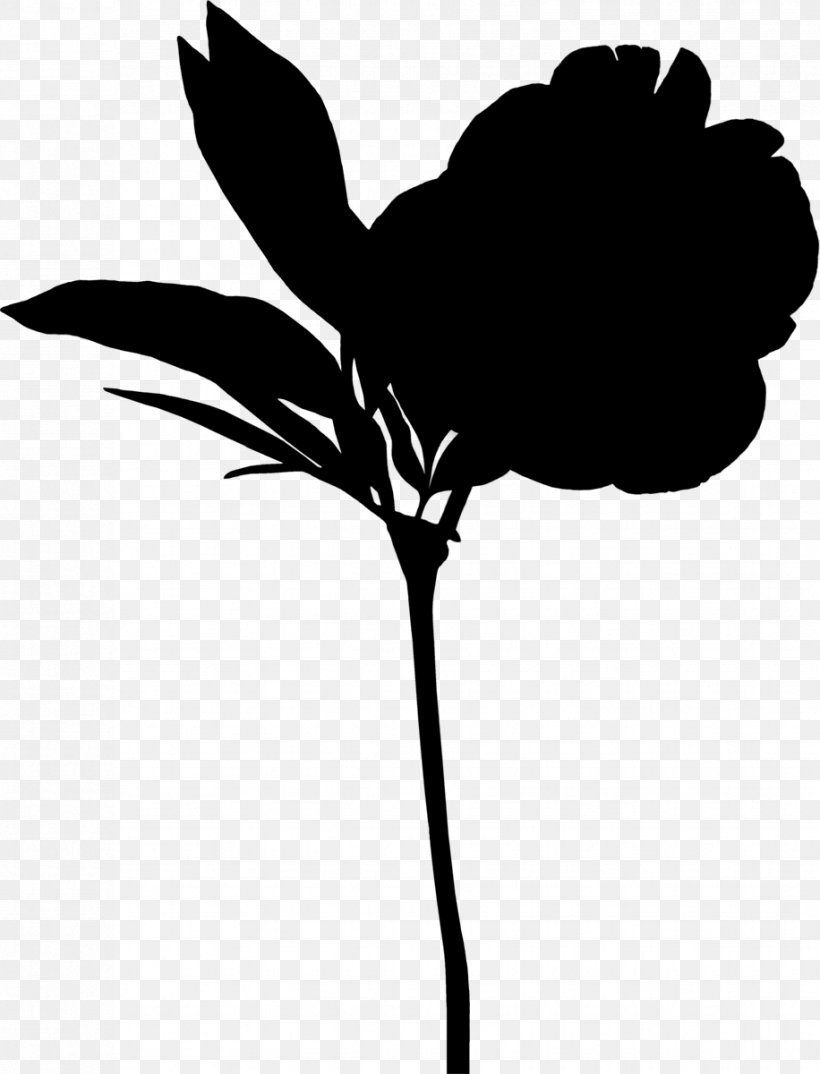 Leaf Plant Stem Clip Art Silhouette Flowering Plant, PNG, 916x1200px, Leaf, Blackandwhite, Botany, Branching, Flower Download Free