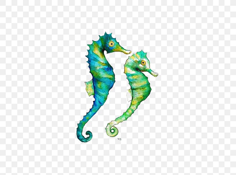 Seahorse Northern Seahorse Green Aqua Turquoise, PNG, 480x607px, Seahorse, Aqua, Bonyfish, Fish, Green Download Free