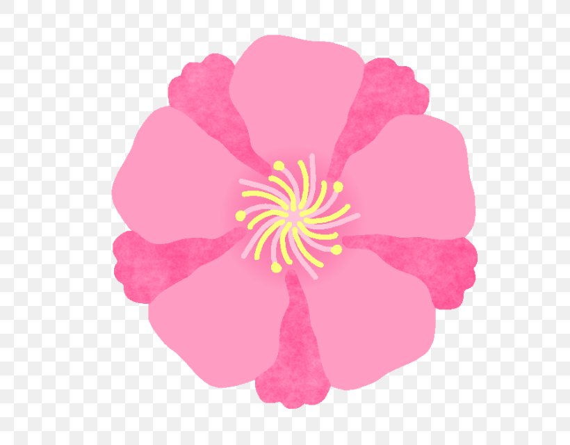 Sasanqua Camellia Illustration Japanese Camellia Illustrator Design, PNG, 640x640px, Sasanqua Camellia, Birth Flower, Blossom, Camellia, Cherry Blossom Download Free