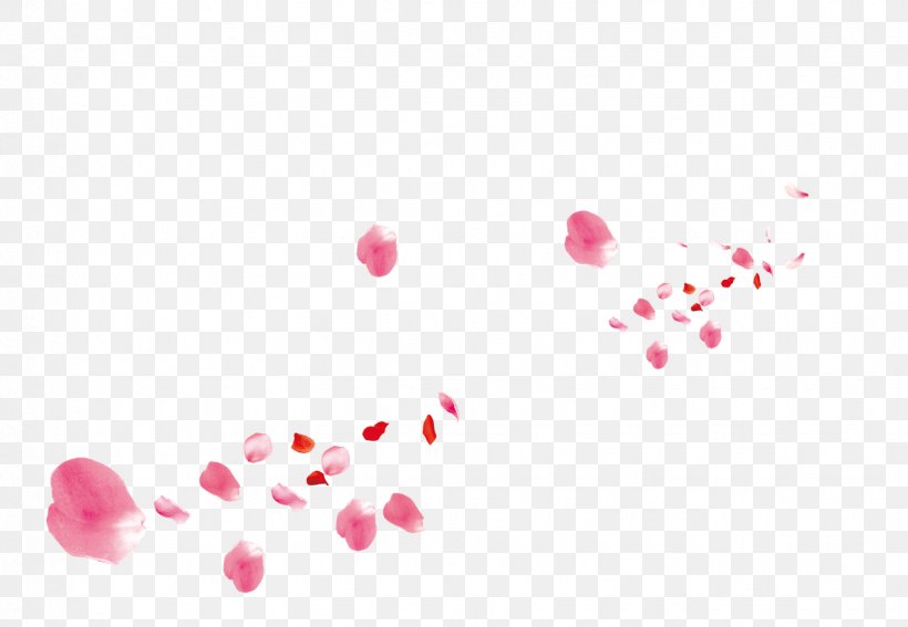 Beach Rose Petal Pink Flower, PNG, 1542x1067px, Beach Rose, Color, Designer, Flower, Google Images Download Free