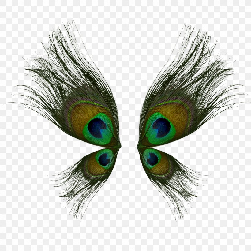 Bird Butterfly Peafowl Wing Feather, PNG, 1200x1200px, Bird, Asiatic Peafowl, Beak, Butterfly, Deviantart Download Free