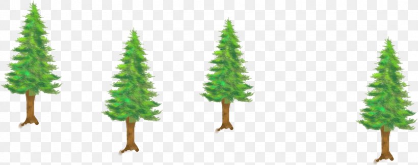 Fir Spruce Tree, PNG, 1068x424px, Fir, Branch, Christmas Tree, Conifer, Evergreen Download Free