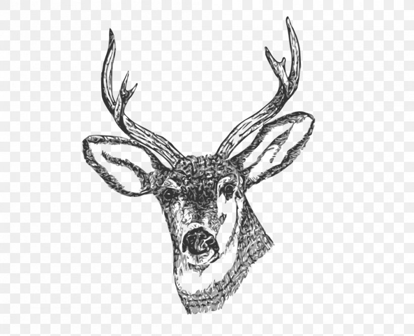 White-tailed Deer Drawing Clip Art, PNG, 999x809px, Deer, Antler, Black And White, Body Jewelry, Coloring Book Download Free