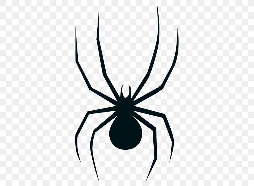 Widow Spiders Drawing Coloring Book Image, PNG, 600x600px, Widow Spiders, Arachnid, Arthropod, Artwork, Black And White Download Free