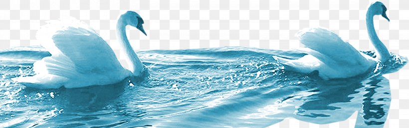 Cygnini Swimming Icon, PNG, 3220x1016px, Cygnini, Aqua, Blue, Brand, Cartoon Download Free