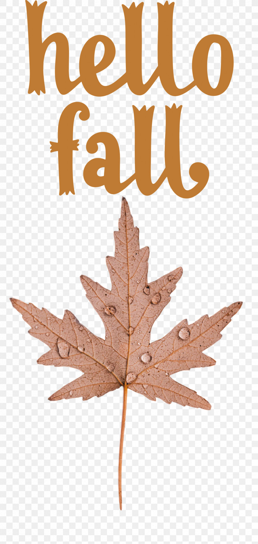 Hello Fall Fall Autumn, PNG, 1423x3000px, Hello Fall, Autumn, Autumn Wreath, Craft, Fall Download Free