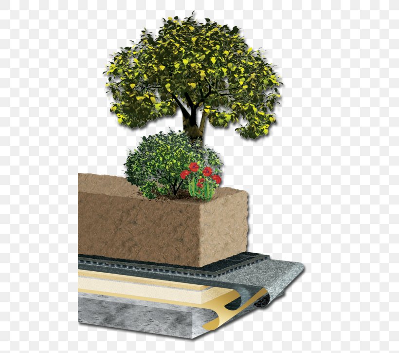 Bonsai Flowerpot Tree Drainage Root Barrier, PNG, 500x725px, Bonsai, Drainage, Flowerpot, Grass, Houseplant Download Free