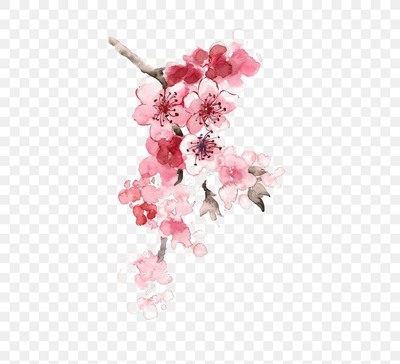Cherry Blossom Watercolor Painting Chinese Painting, PNG, 564x747px, Cherry Blossom, Artificial Flower, Blossom, Branch, Canvas Print Download Free