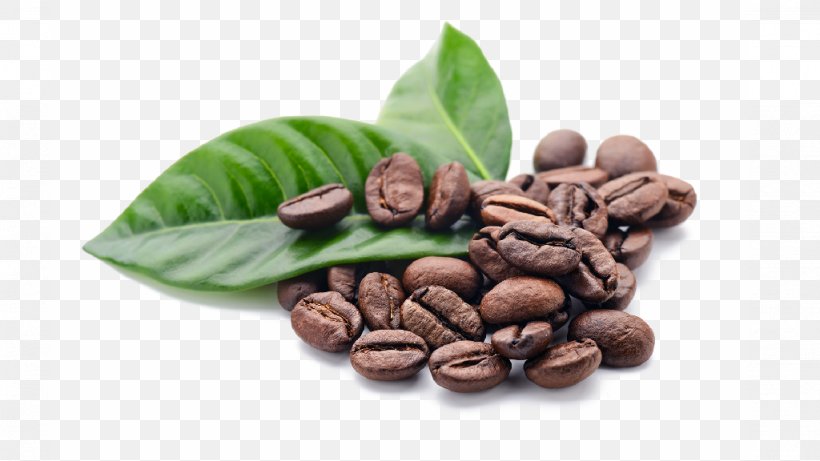 Jamaican Blue Mountain Coffee Cafe Chocolate-covered Coffee Bean Single-origin Coffee, PNG, 1024x576px, Coffee, Arabica Coffee, Bean, Cafe, Chocolatecovered Coffee Bean Download Free