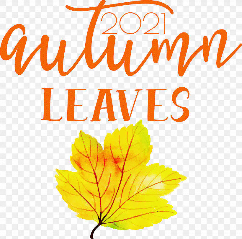 Autumn Leaves Autumn Fall, PNG, 3000x2965px, Autumn Leaves, Autumn, Biology, Fall, Flower Download Free