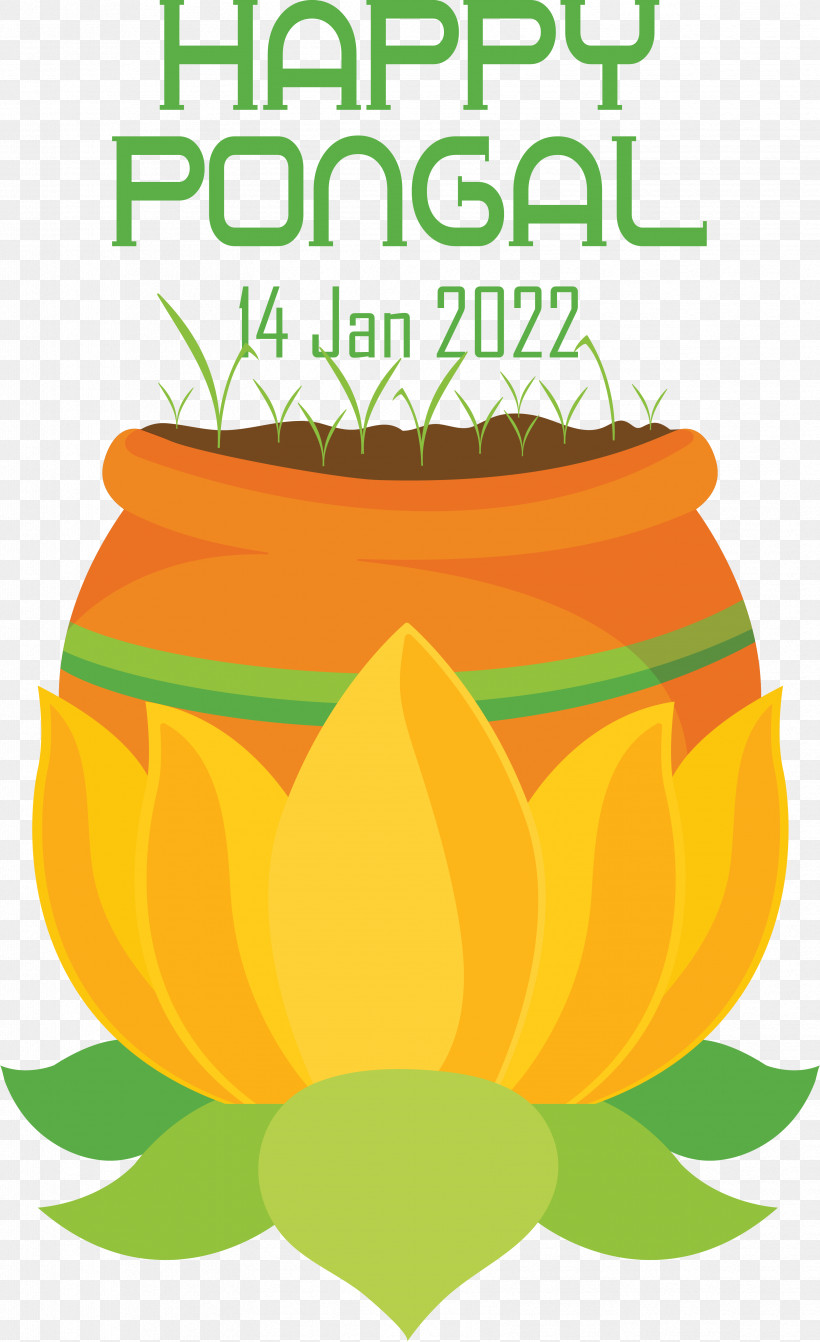 Pongal - Harvest Festival Icon Cartoon Drawing Pongal Harvest Festival, PNG, 3317x5429px, Cartoon, Drawing, Festival, Free, Logo Download Free