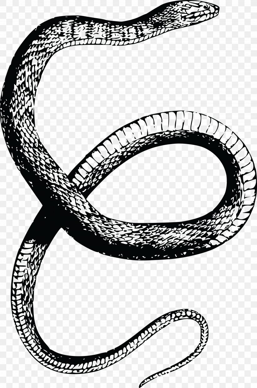 Snake Reptile Vertebrate Drawing Clip Art, PNG, 4000x6034px, Snake, Banded Water Snake, Black And White, Body Jewelry, Drawing Download Free