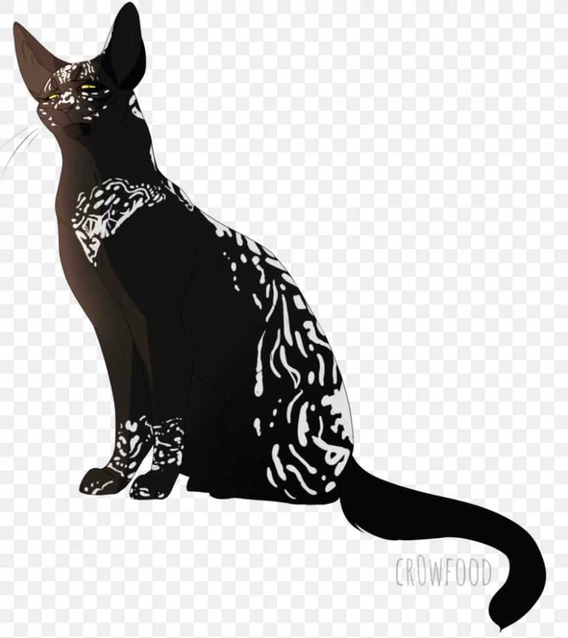 Whiskers Domestic Short-haired Cat Black Paw, PNG, 843x948px, Whiskers, Black, Black And White, Black Cat, Black M Download Free