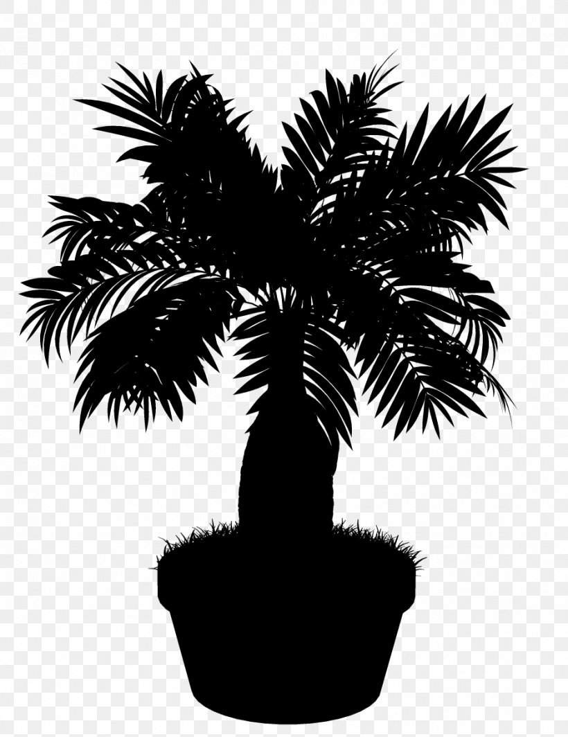 Asian Palmyra Palm Black & White, PNG, 933x1211px, Asian Palmyra Palm, Arecales, Attalea Speciosa, Black White M, Blackandwhite Download Free