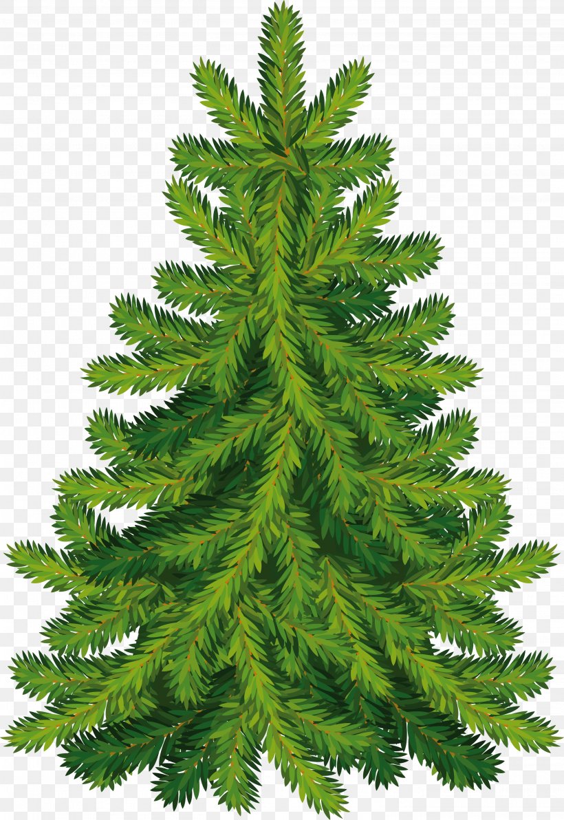 Christmas Tree Fir, PNG, 2821x4101px, Santa Claus, Artificial Christmas Tree, Biome, Christmas, Christmas Decoration Download Free