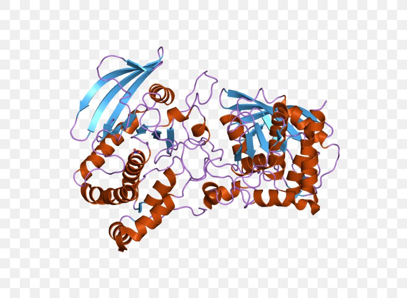 Protein Phosphatase Gene Tyrosine, PNG, 800x600px, Protein Phosphatase, Area, Art, Encyclopedia, Enzyme Download Free