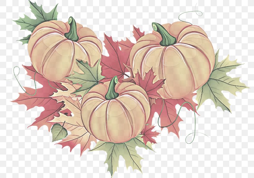 Pumpkin, PNG, 800x576px, Leaf, Fruit, Orange, Plant, Pumpkin Download Free