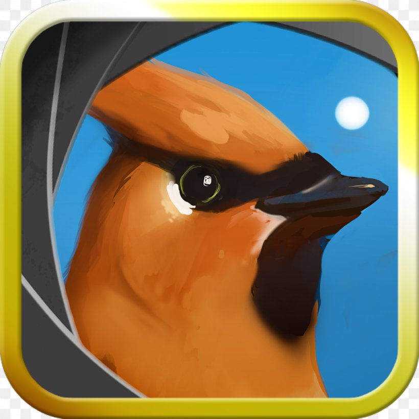Beak Close-up Animated Cartoon, PNG, 1024x1024px, Beak, Animated Cartoon, Bird, Closeup, Fauna Download Free