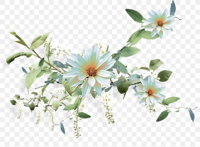 Clip Art, PNG, 800x602px, Flower, Blossom, Branch, Computer, Computer Network Download Free