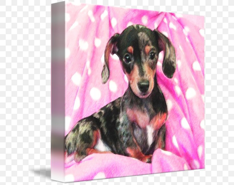 Dachshund Puppy Dog Breed Hound Pillow, PNG, 630x650px, Dachshund, Art, Breed, Canvas, Carnivoran Download Free