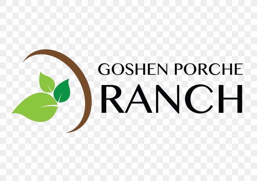Logo Brand Porsche Ghana Product, PNG, 3508x2481px, Logo, Agrochemical, Area, Brand, Frank Gorshin Download Free