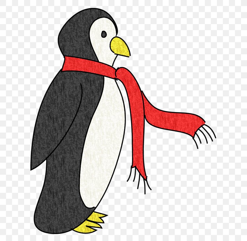 Penguin Drawing Cartoon Illustration, PNG, 655x800px, Penguin, Animal, Art, Beak, Bird Download Free