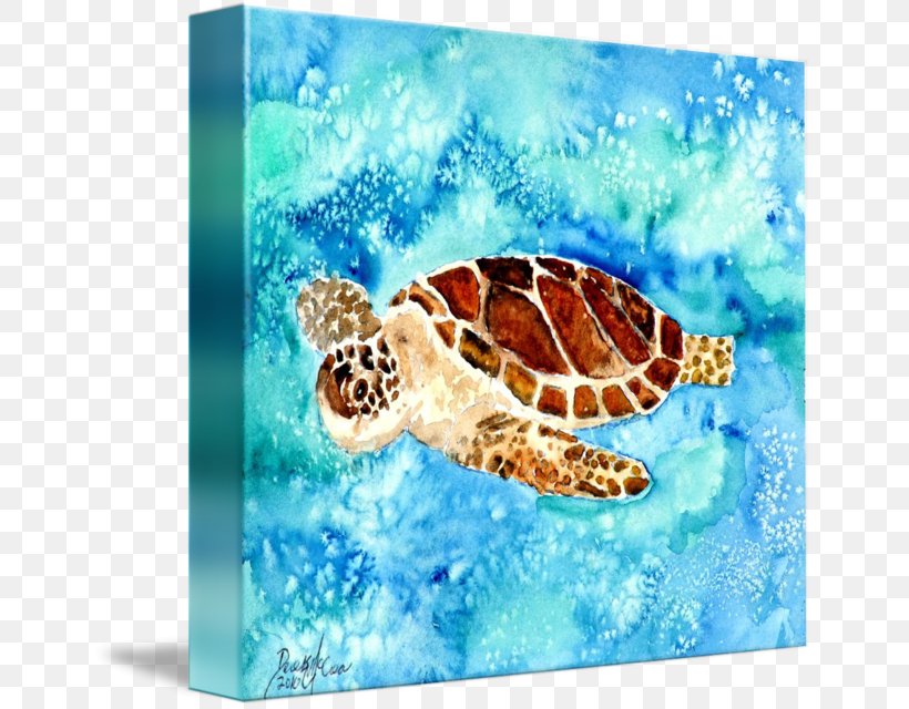 Sea Turtle Watercolor Painting Art Museum, PNG, 650x640px, Turtle, Art, Art Museum, Artist, Drawing Download Free