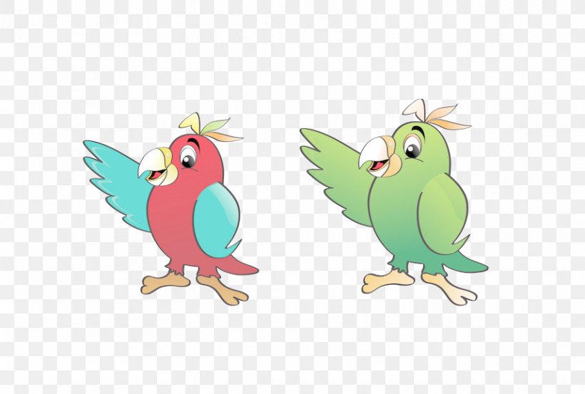 Talking Bird Cockatoo Illustration, PNG, 857x578px, Bird, Beak, Cartoon, Chicken, Cockatoo Download Free