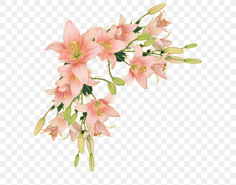 Border Flowers Borders And Frames Paper Clip Art, PNG, 600x643px, Flower, Alstroemeriaceae, Art, Artificial Flower, Arumlily Download Free