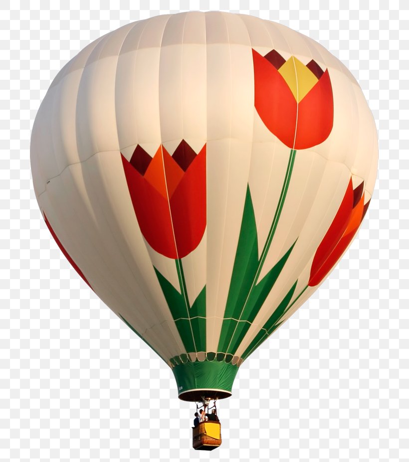 Hot Air Balloon, PNG, 734x927px, Hot Air Balloon, Air, Balloon, Hot Air Ballooning Download Free