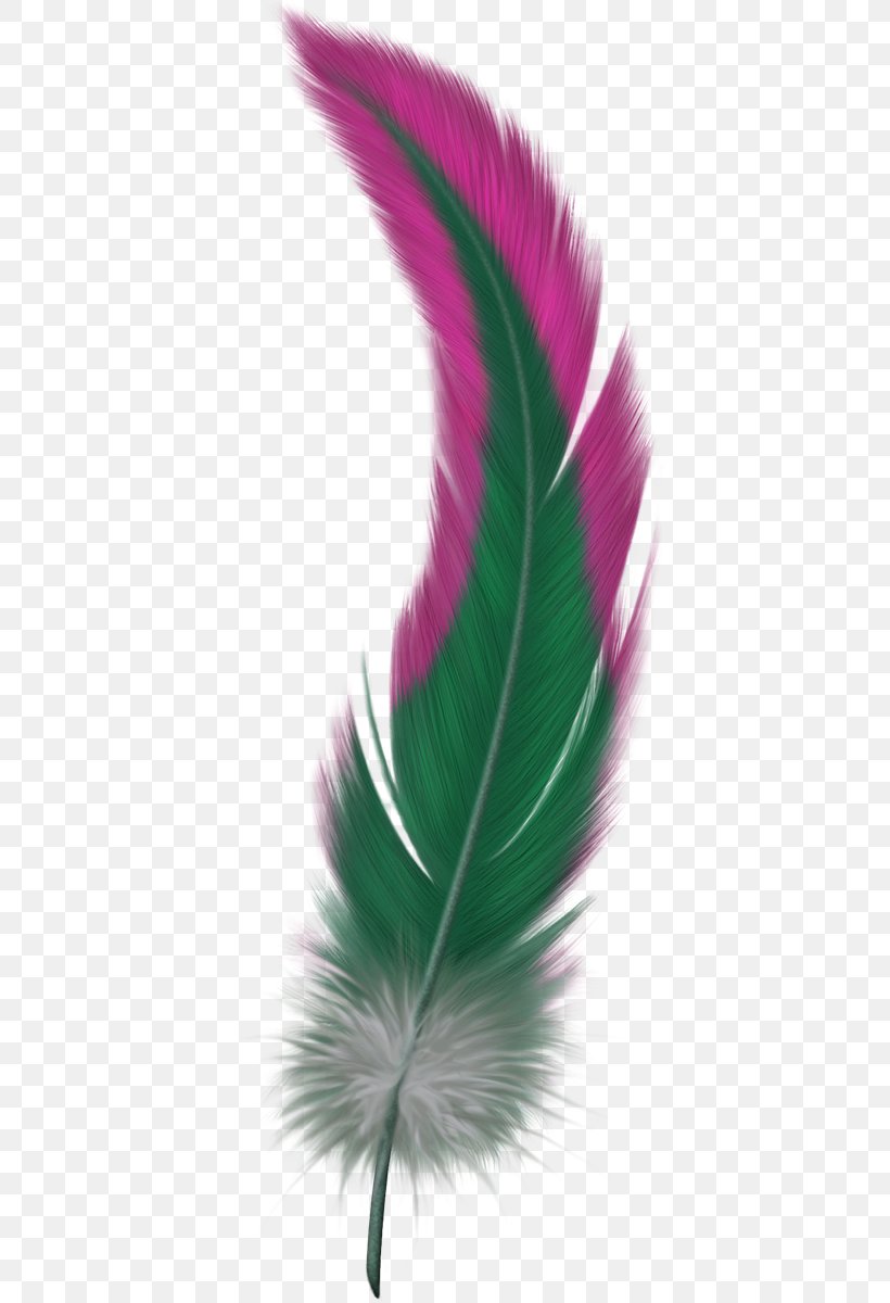 Bird Flight Feather, PNG, 415x1200px, Bird, Art, Bird Flight, Drawing, Feather Download Free