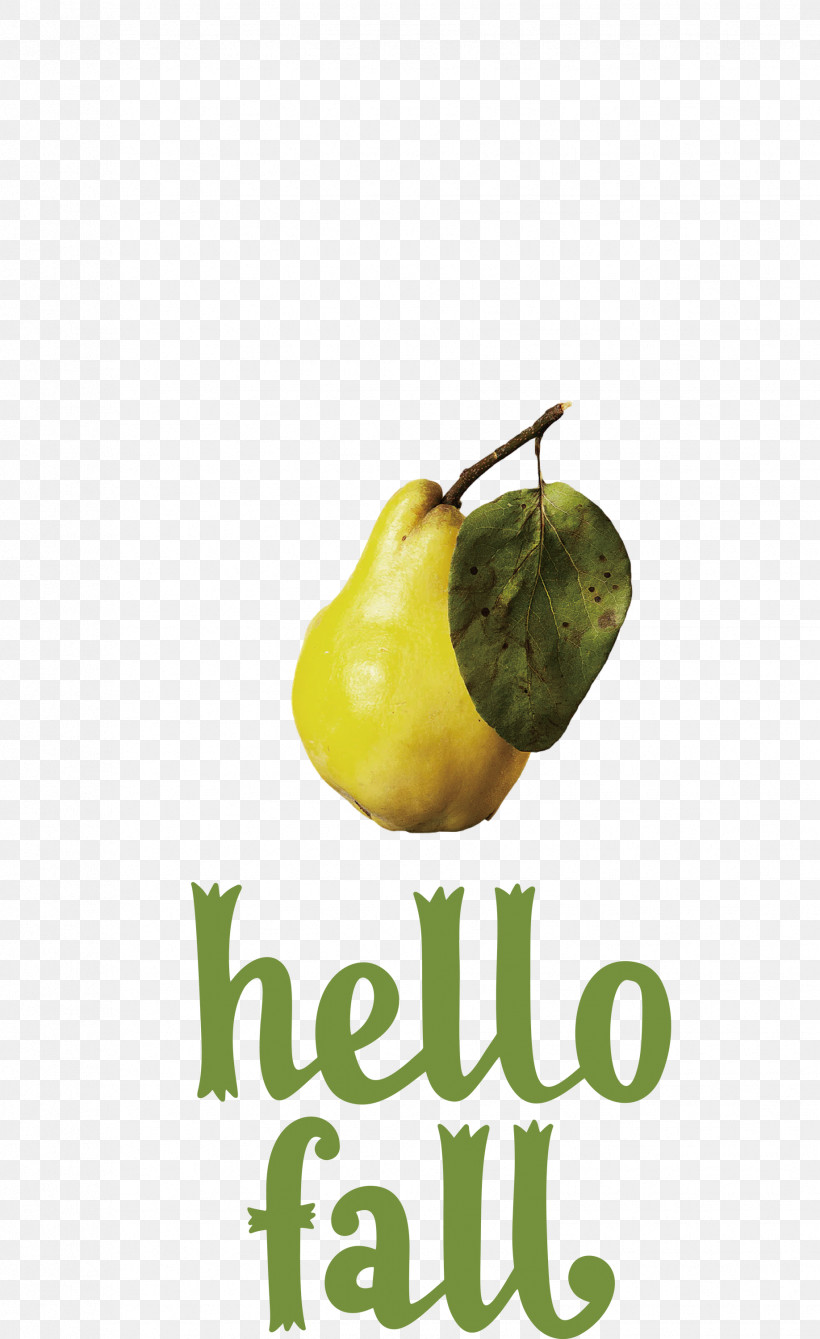 Hello Fall Fall Autumn, PNG, 1836x3000px, Hello Fall, Apple, Autumn, Fall, Meter Download Free