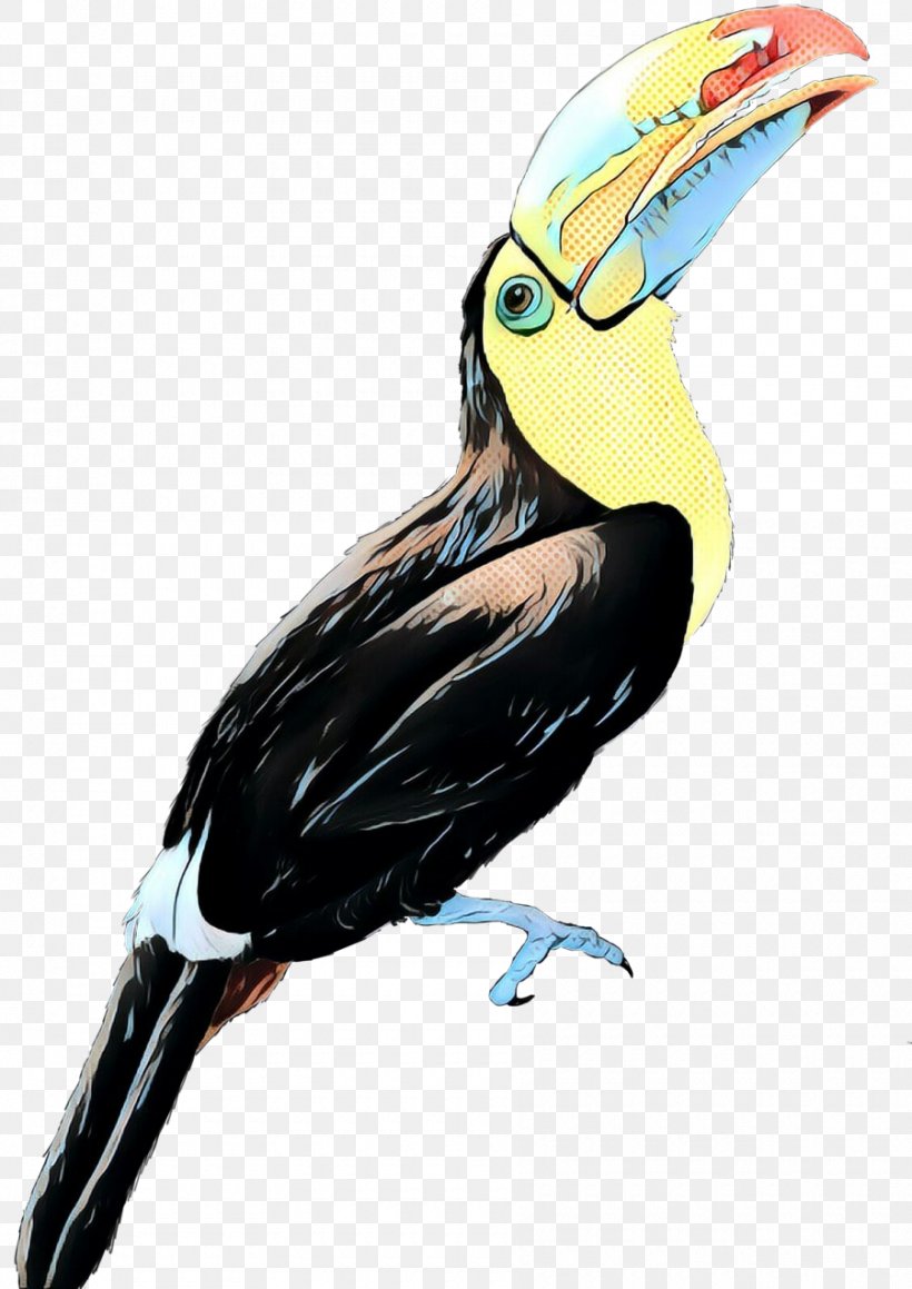 Hornbill Bird, PNG, 900x1273px, Bird, Beak, Channelbilled Toucan, Coraciiformes, Greenbilled Toucan Download Free