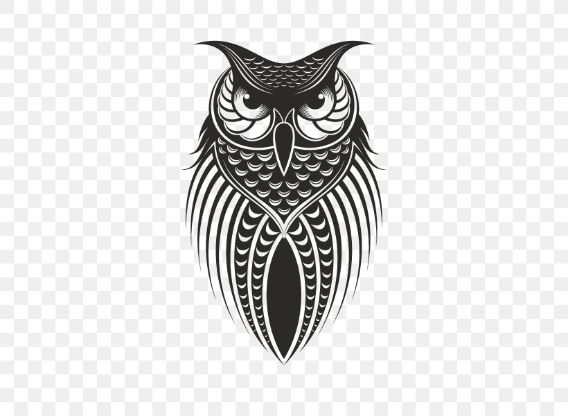Owl Drawing Bird, PNG, 600x600px, Owl, Art, Beak, Bird, Bird Of Prey Download Free