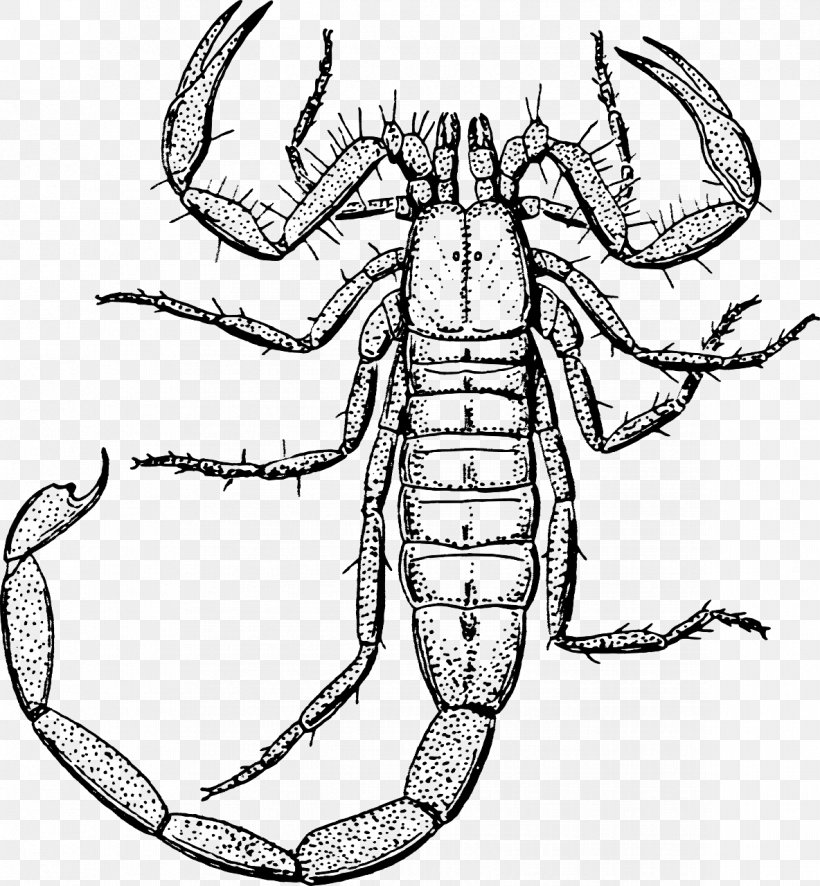 Scorpion Clip Art, PNG, 1184x1280px, Scorpion, Artwork, Black And White, Decapoda, Drawing Download Free