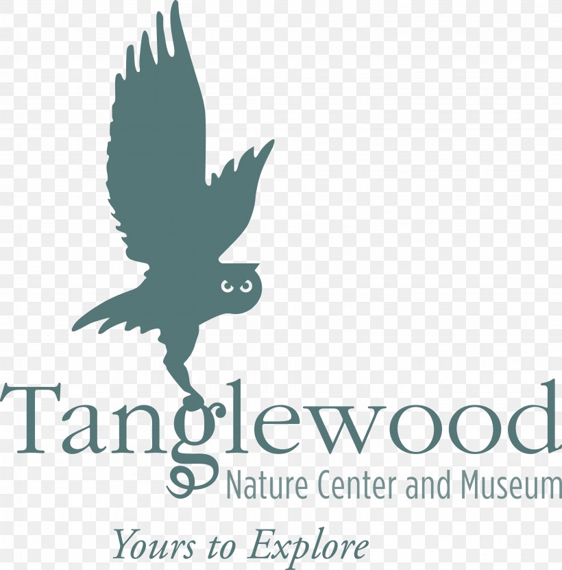 Tanglewood Nature Center Elmira Museum Logo Leadership: It's Child's Play, PNG, 6361x6453px, Elmira, Beak, Bird, Brand, Child Download Free