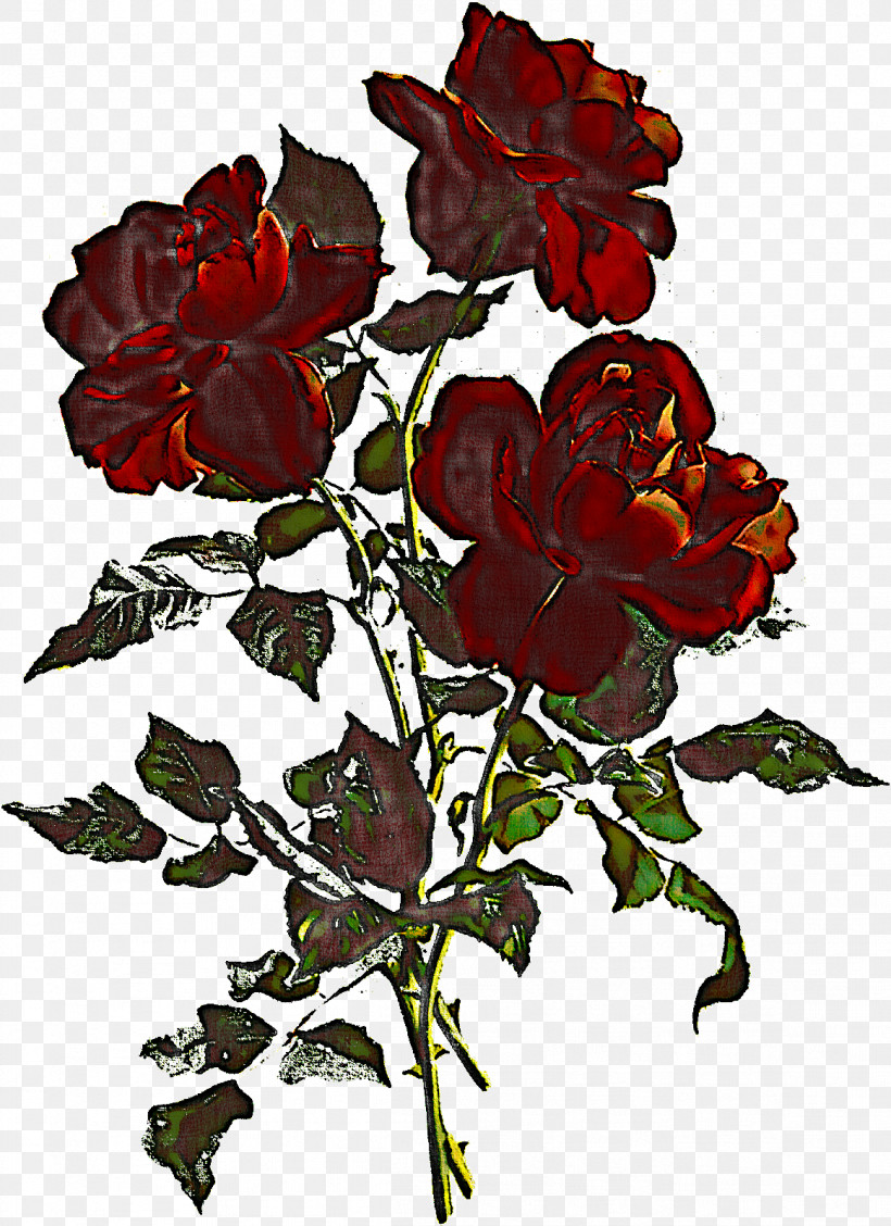 Three Flowers Three Roses Stem, PNG, 1163x1600px, Three Flowers, China Rose, Floribunda, Flower, Garden Roses Download Free