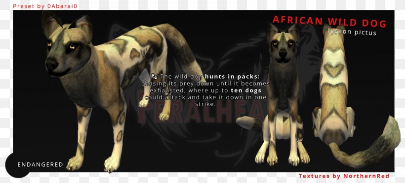 Whippet African Wild Dog Feral Pit Bull German Shepherd, PNG, 1690x767px, Whippet, Advertising, African Wild Dog, Animal, Animal Testing Download Free