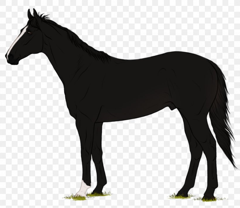 Andalusian Horse Black Rearing Dobermann, PNG, 962x831px, Andalusian Horse, Animal, Black, Bridle, Collection Download Free
