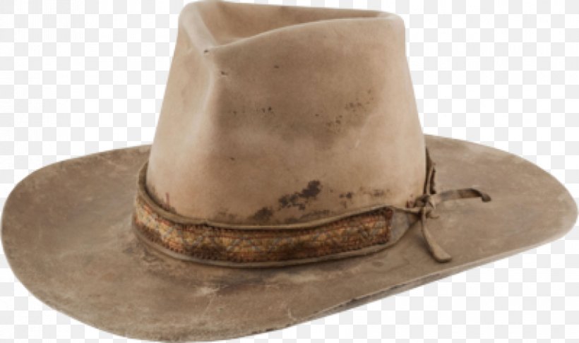 Cowboy Hat Stetson Resistol, PNG, 850x504px, Cowboy Hat, Beige, Cowboy, Fur Clothing, Hat Download Free